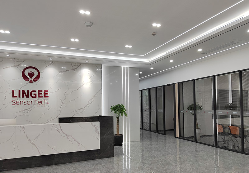 Lingee office
